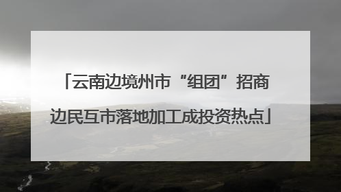 云南边境州市“组团”招商 边民互市落地加工成投资热点