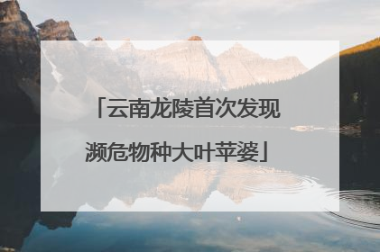 云南龙陵首次发现濒危物种大叶苹婆
