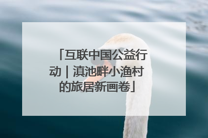 互联中国公益行动｜滇池畔小渔村的旅居新画卷