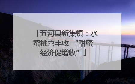 五河县新集镇：水蜜桃喜丰收 “甜蜜经济促增收”