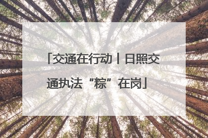 交通在行动丨日照交通执法“粽”在岗