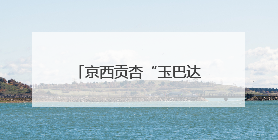 京西贡杏“玉巴达”熟了！它将牵手故宫、香山、颐和园