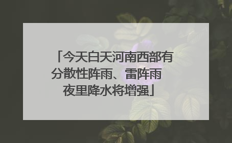今天白天河南西部有分散性阵雨、雷阵雨 夜里降水将增强