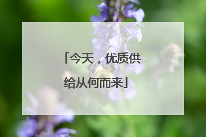 今天，优质供给从何而来