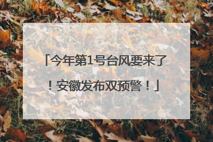 今年第1号台风要来了！安徽发布双预警！