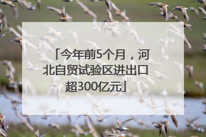 今年前5个月，河北自贸试验区进出口超300亿元