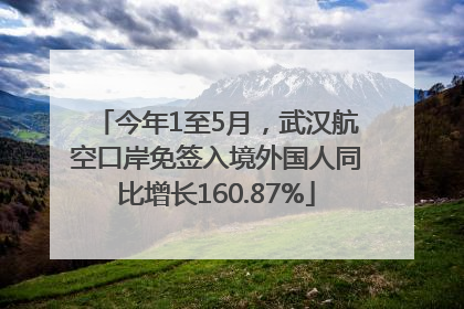 今年1至5月，武汉航空口岸免签入境外国人同比增长160.87%