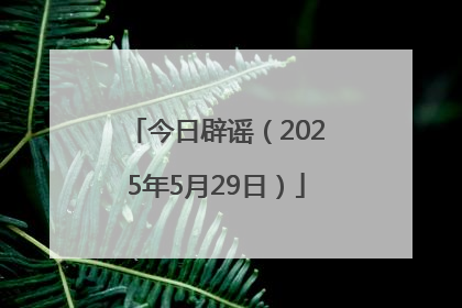 今日辟谣（2025年5月29日）