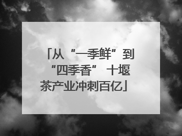 从“一季鲜”到“四季香” 十堰茶产业冲刺百亿