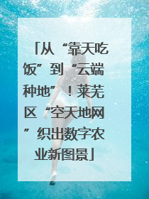 从“靠天吃饭”到“云端种地”！莱芜区“空天地网”织出数字农业新图景