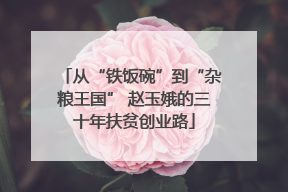 从“铁饭碗”到“杂粮王国” 赵玉娥的三十年扶贫创业路