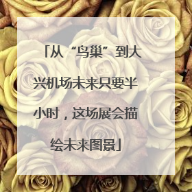 从“鸟巢”到大兴机场未来只要半小时，这场展会描绘未来图景