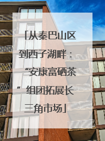 从秦巴山区到西子湖畔：“安康富硒茶”组团拓展长三角市场