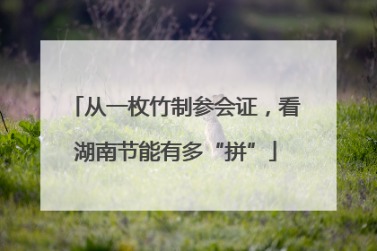 从一枚竹制参会证，看湖南节能有多“拼”