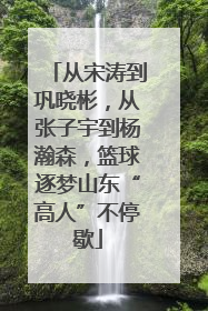 从宋涛到巩晓彬，从张子宇到杨瀚森，篮球逐梦山东“高人”不停歇