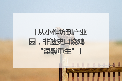 从小作坊到产业园，非遗史口烧鸡“涅槃重生”