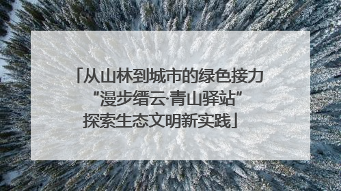 从山林到城市的绿色接力 “漫步缙云·青山驿站”探索生态文明新实践