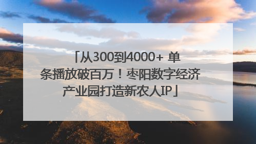 从300到4000+ 单条播放破百万！枣阳数字经济产业园打造新农人IP