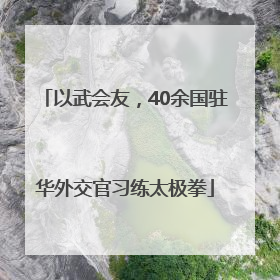 以武会友，40余国驻华外交官习练太极拳