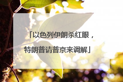 以色列伊朗杀红眼，特朗普请普京来调解