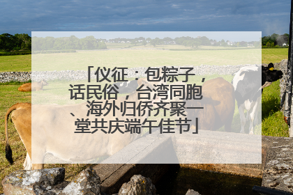 仪征：包粽子，话民俗，台湾同胞、海外归侨齐聚一堂共庆端午佳节