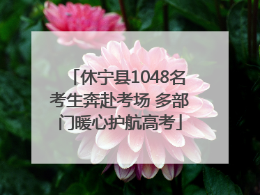 休宁县1048名考生奔赴考场 多部门暖心护航高考