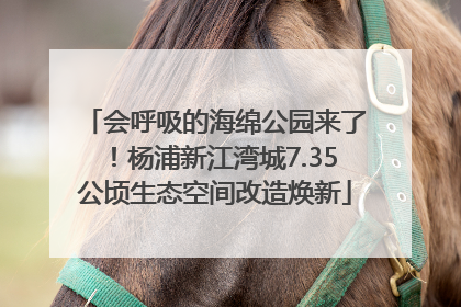 会呼吸的海绵公园来了！杨浦新江湾城7.35公顷生态空间改造焕新
