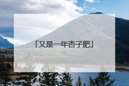又是一年杏子肥