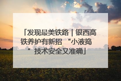 发现最美铁路｜银西高铁养护有新招 “小液捣”技术安全又准确
