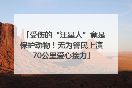 受伤的“汪星人”竟是保护动物！无为警民上演70公里爱心接力