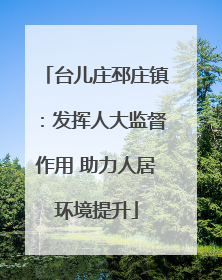 台儿庄邳庄镇：发挥人大监督作用 助力人居环境提升