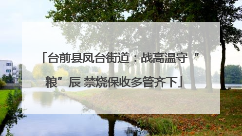 台前县凤台街道：战高温守“粮”辰 禁烧保收多管齐下