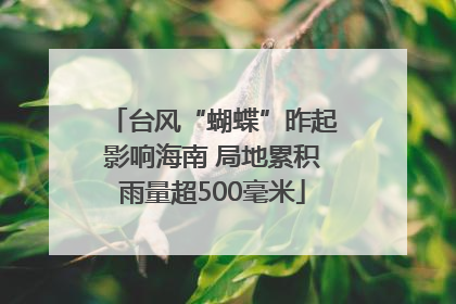 台风“蝴蝶”昨起影响海南 局地累积雨量超500毫米