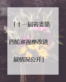 十一届省委第四轮巡视整改进展情况公开