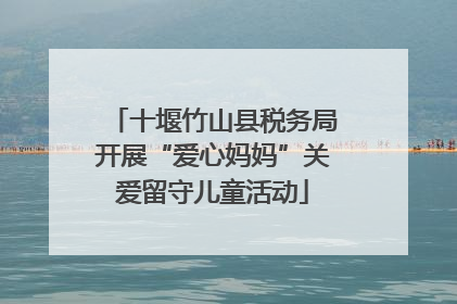 十堰竹山县税务局开展“爱心妈妈”关爱留守儿童活动