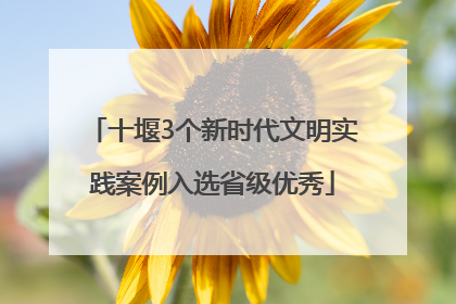 十堰3个新时代文明实践案例入选省级优秀