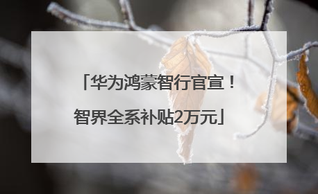 华为鸿蒙智行官宣！智界全系补贴2万元