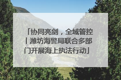 协同亮剑，全域管控丨潍坊海警局联合多部门开展海上执法行动