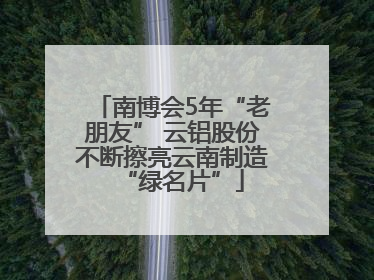南博会5年“老朋友” 云铝股份不断擦亮云南制造“绿名片”