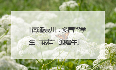 南通崇川：多国留学生“花样”迎端午