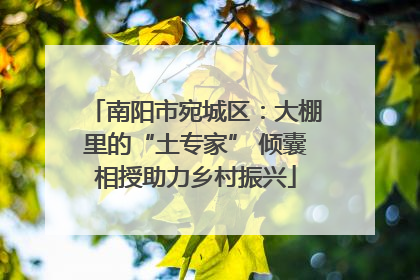 南阳市宛城区：大棚里的“土专家” 倾囊相授助力乡村振兴