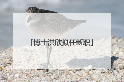 博士洪欣拟任新职