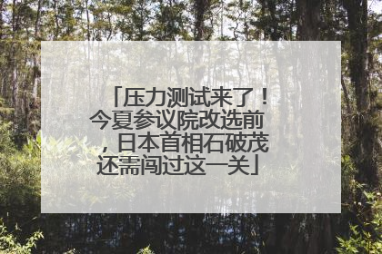 压力测试来了！今夏参议院改选前，日本首相石破茂还需闯过这一关