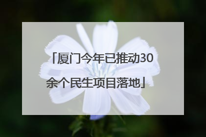 厦门今年已推动30余个民生项目落地