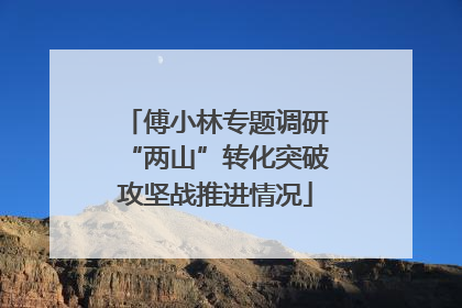傅小林专题调研“两山”转化突破攻坚战推进情况