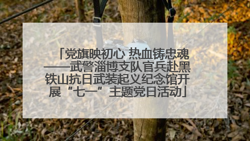 党旗映初心 热血铸忠魂——武警淄博支队官兵赴黑铁山抗日武装起义纪念馆开展“七一”主题党日活动