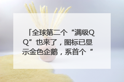 全球第二个“满级QQ”也来了，图标已显示金色企鹅，系首个“满级QQ”的小号