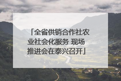 全省供销合作社农业社会化服务 现场推进会在泰兴召开