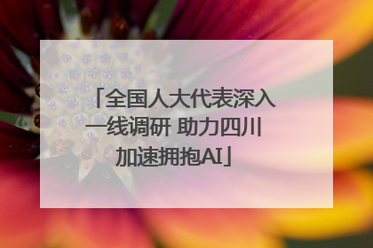 全国人大代表深入一线调研 助力四川加速拥抱AI