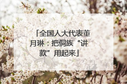 全国人大代表董月琳：把侗族“讲款”用起来
